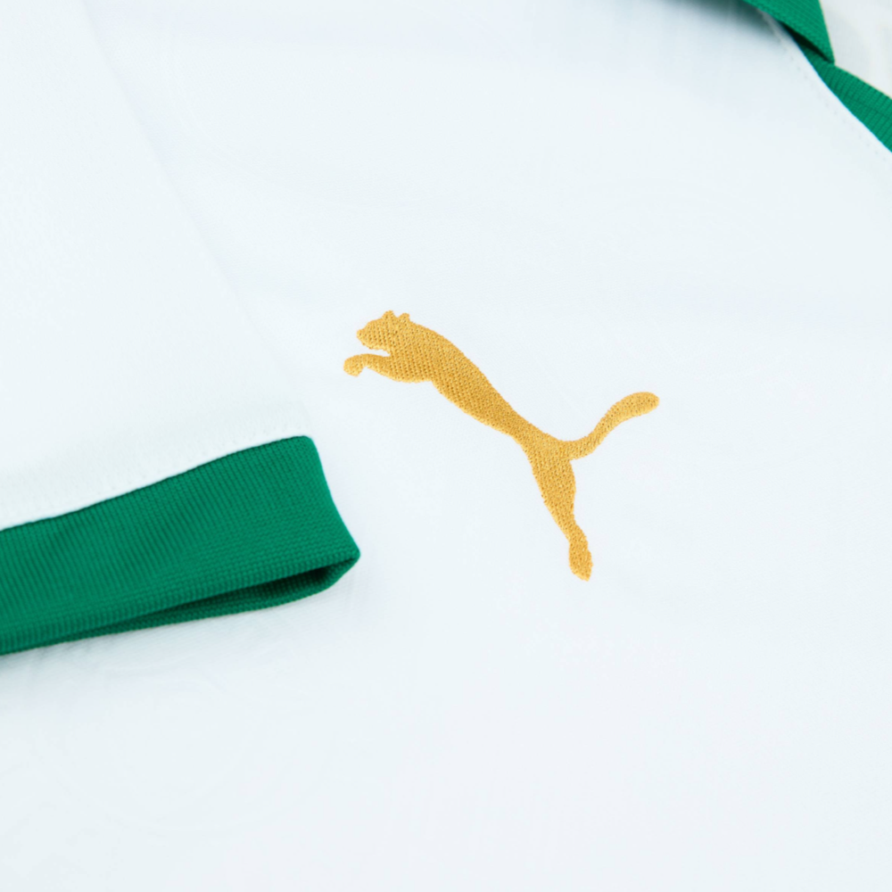 2024-25 Se Palmeiras Idegenbeli Mez