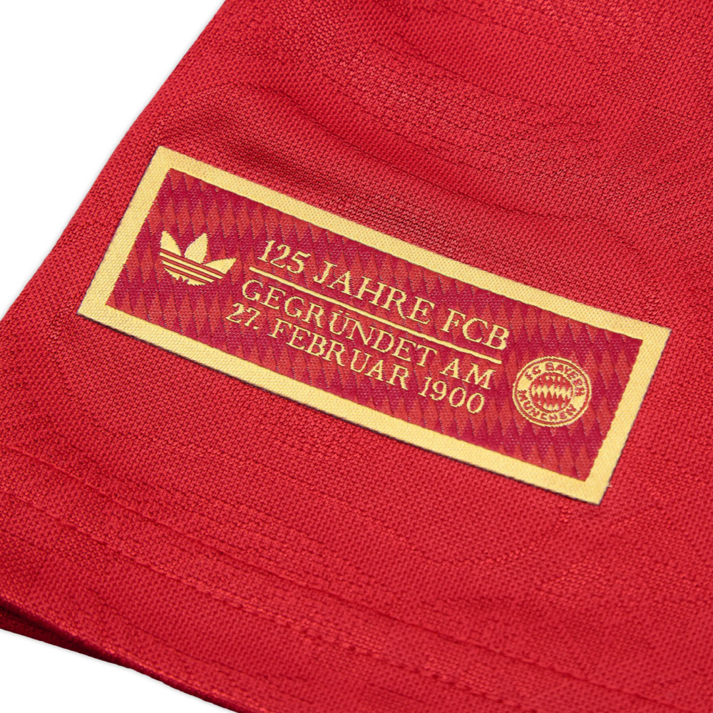 2024-25 FC Bayern München Speciale Editie Shirt