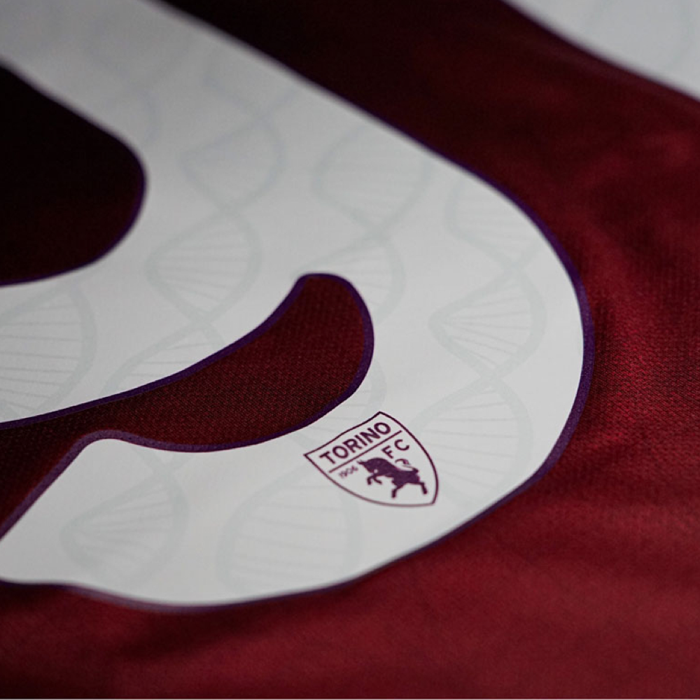 2024-25 Torino FC Maillot Domicile