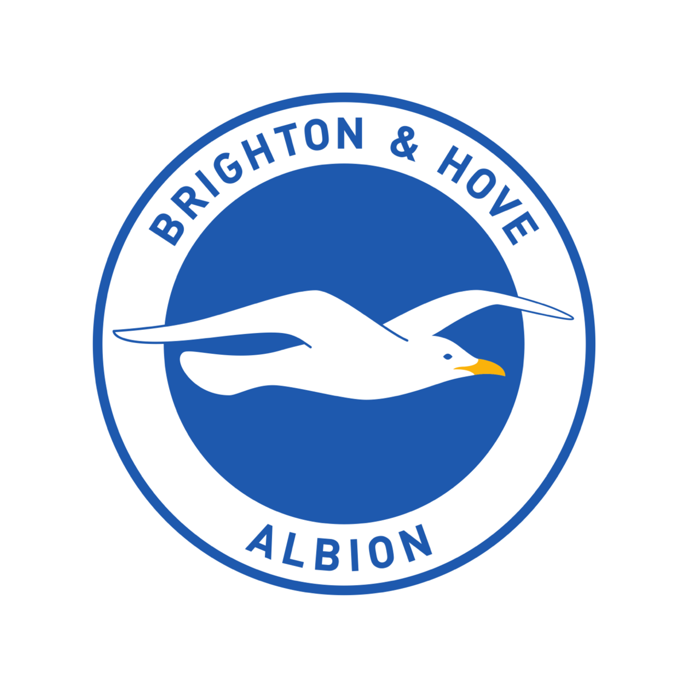Brighton & Hove Albion FC