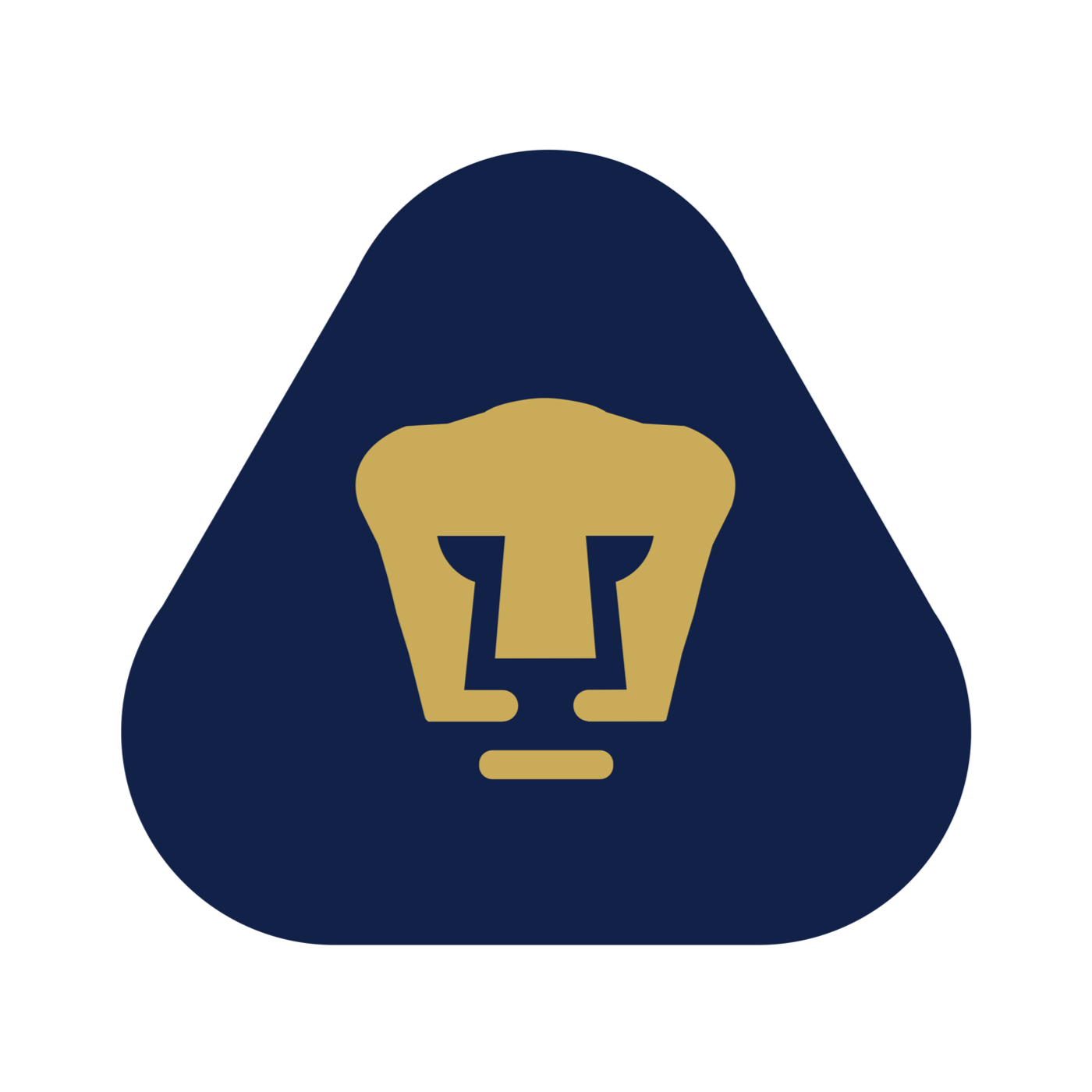 Pumas UNAM