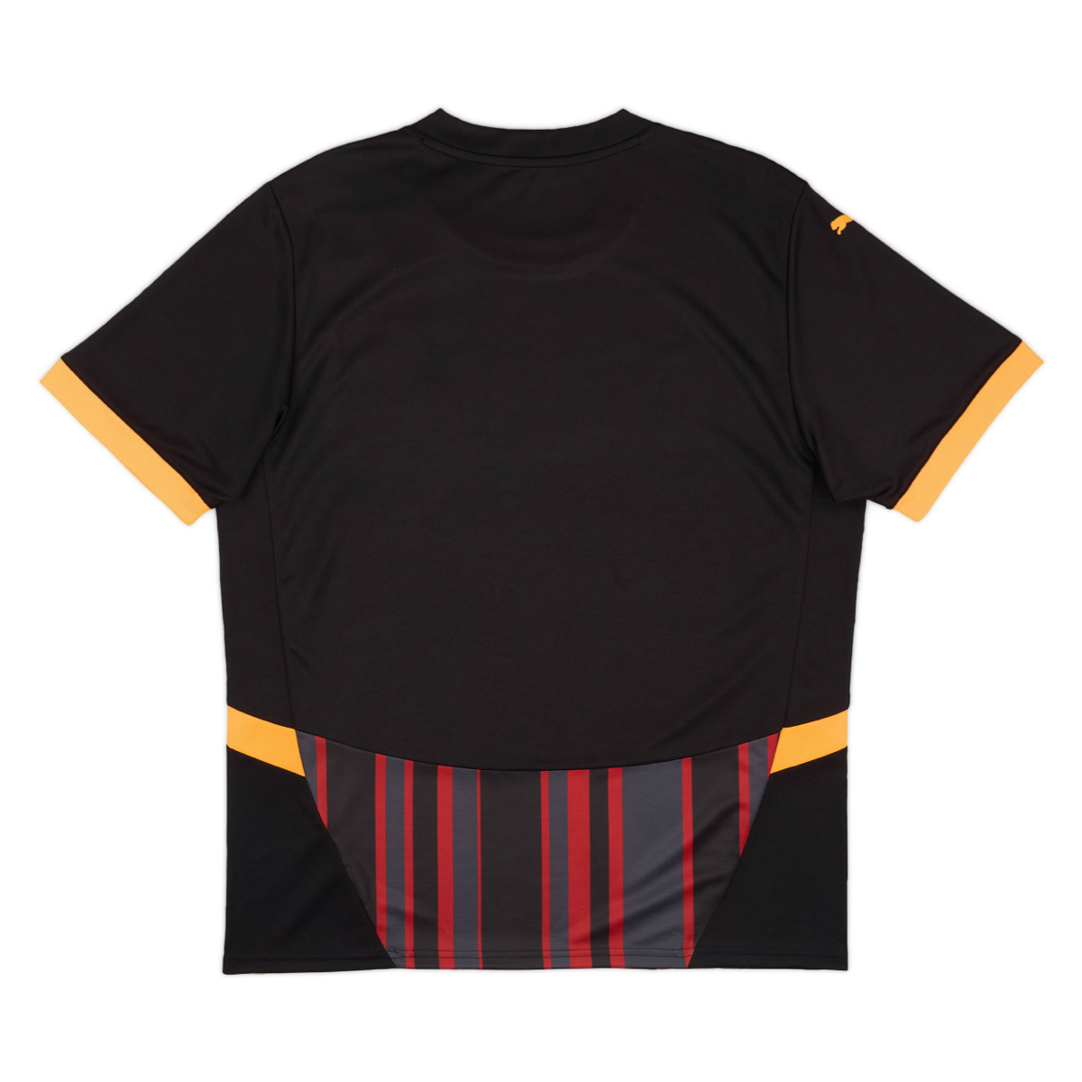 2024-25 Galatasaray Sk Třetí Dres