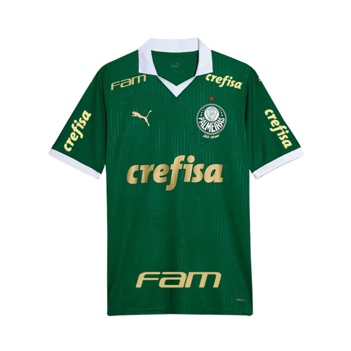 2024-25 Se Palmeiras Domácí Dres