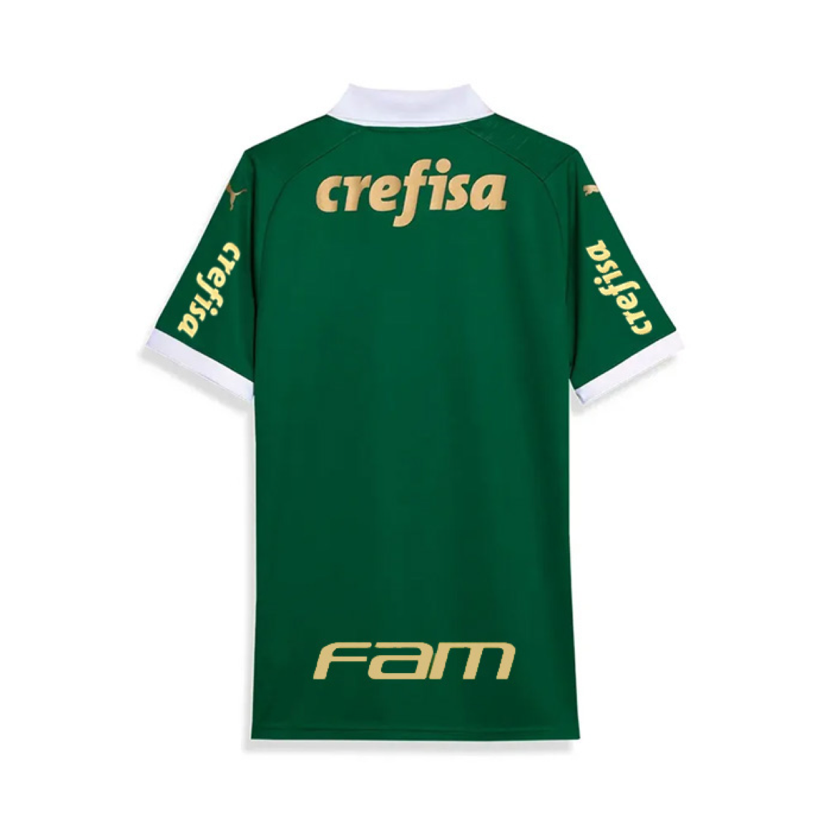2024-25 Se Palmeiras Domácí Dres